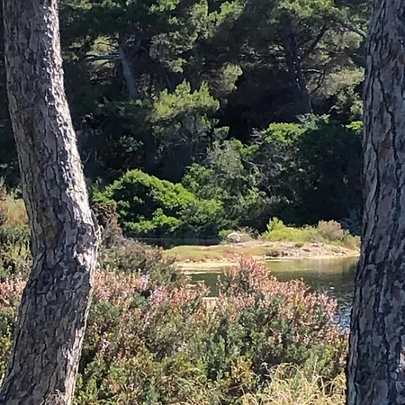 Location Bateau * קאן
